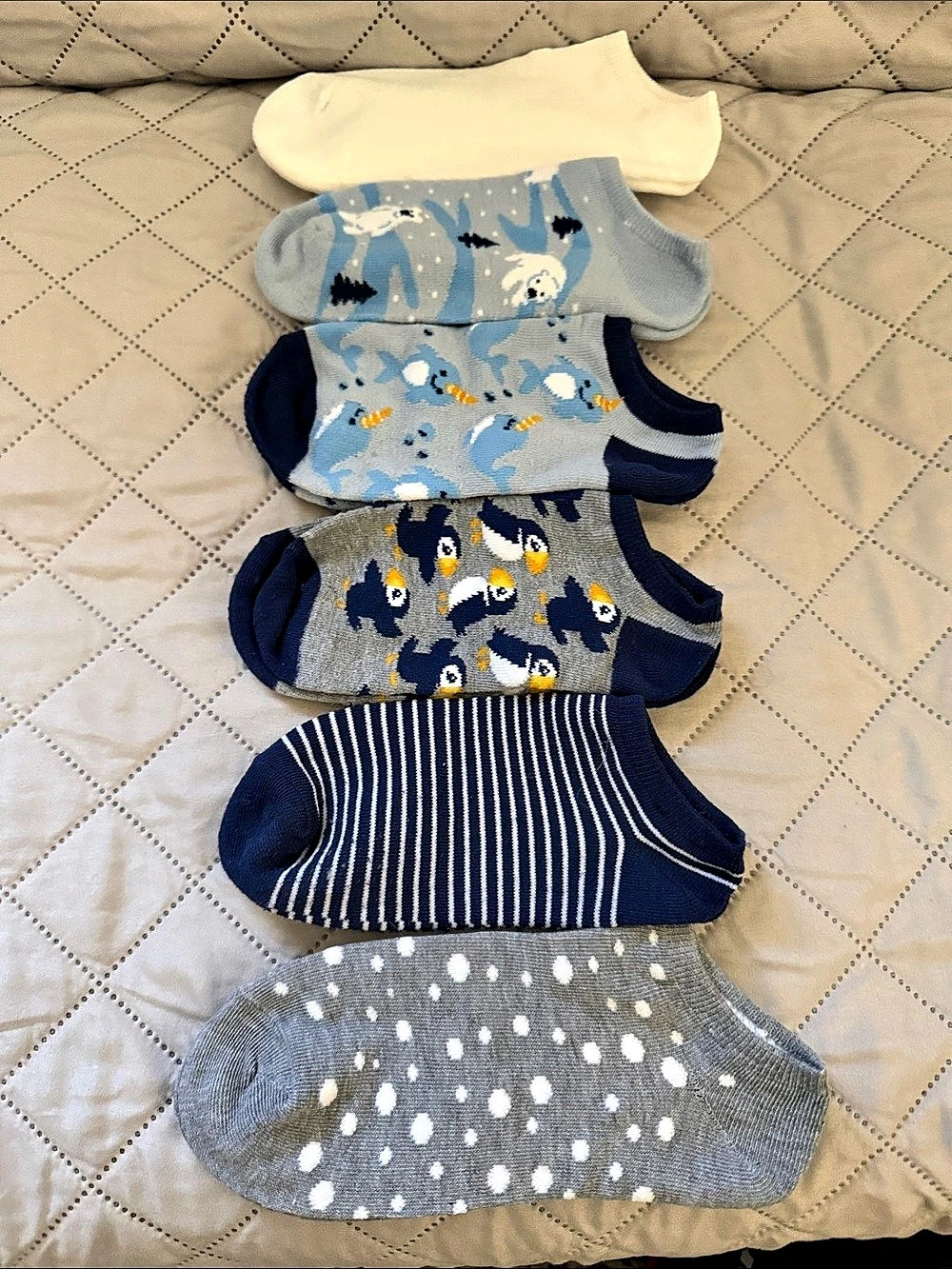 No show Blue & Gray Patterned Socks Set